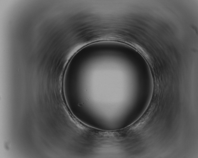 X0000093490862200710121505