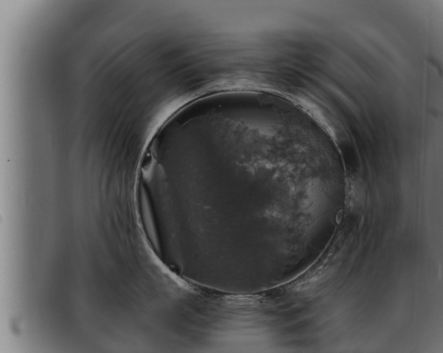 X0000093490863200710121505