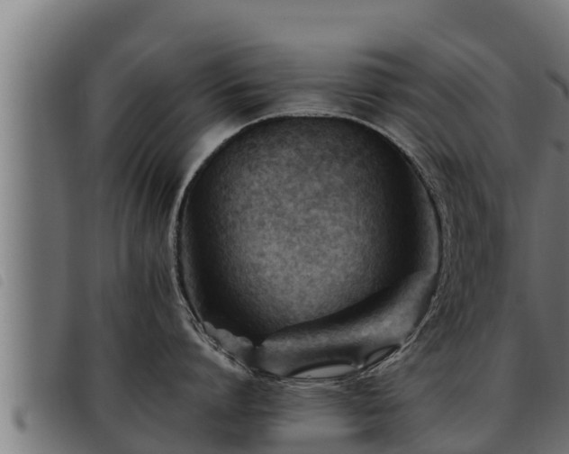 X0000093490864200710121505