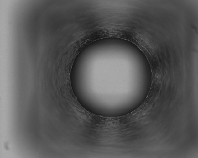 X0000093490865200710121504