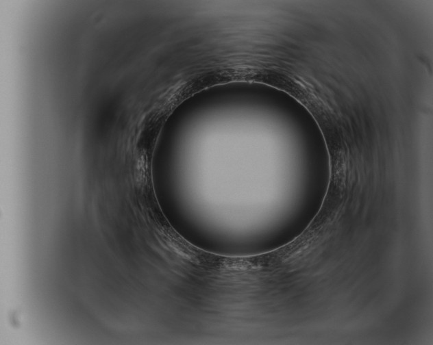 X0000093490866200710121504