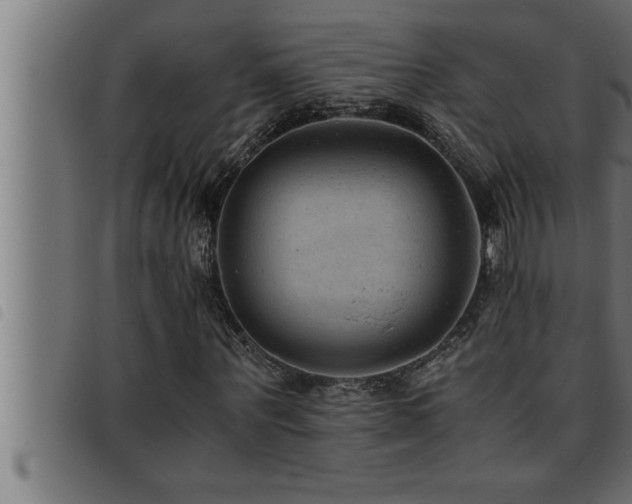 X0000093490867200710121504