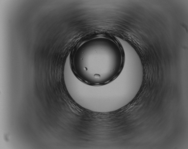X0000093490868200710121504