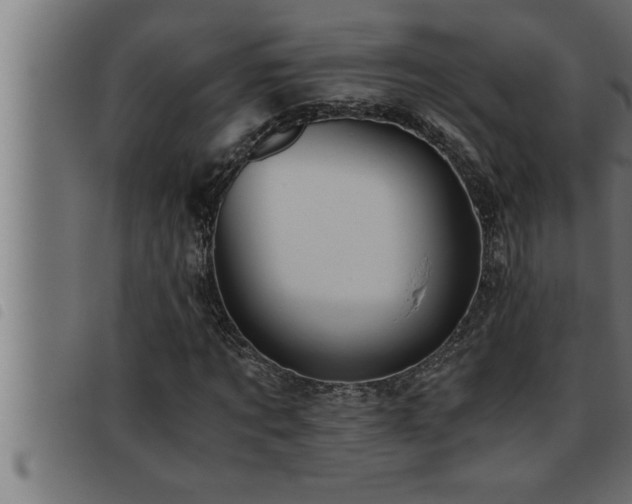 X0000093490869200710121504
