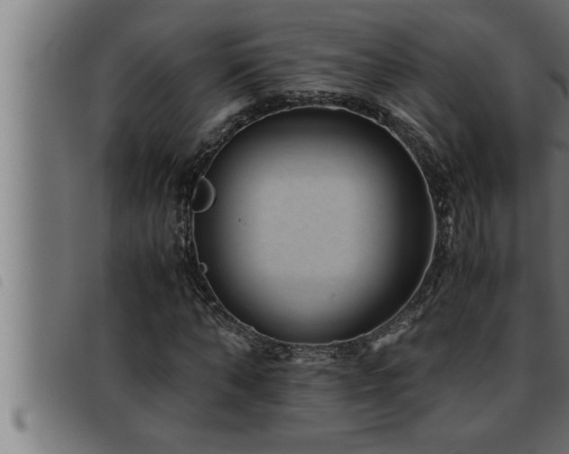 X0000093490870200710121504