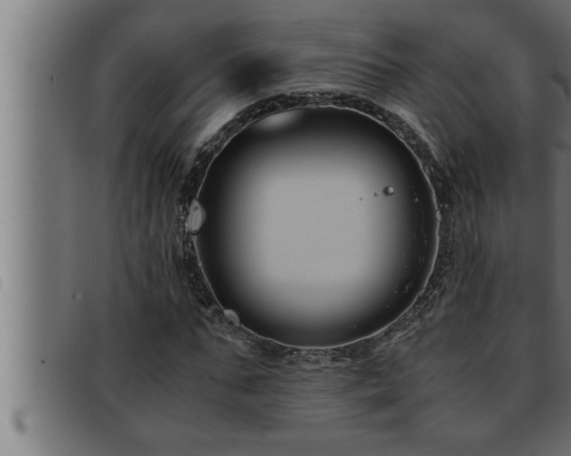 X0000093490871200710121504