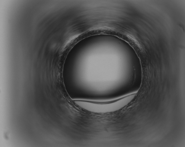 X0000093490872200710121504