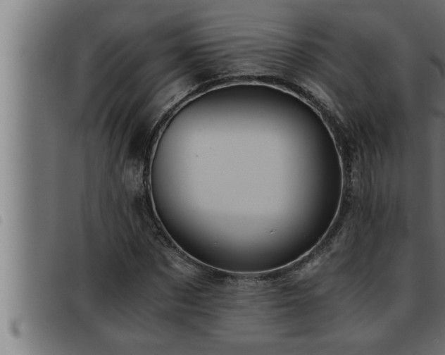 X0000093490873200710121504