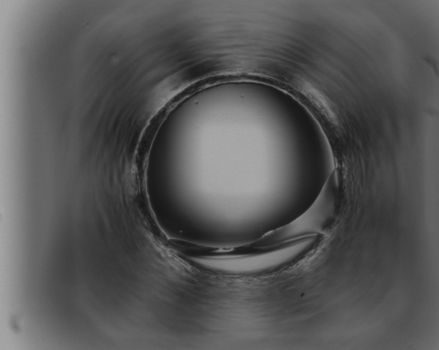 X0000093490876200710121504
