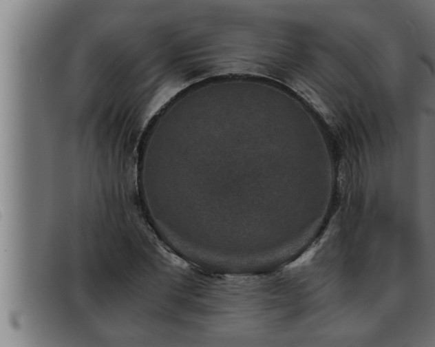 X0000093490877200710121504
