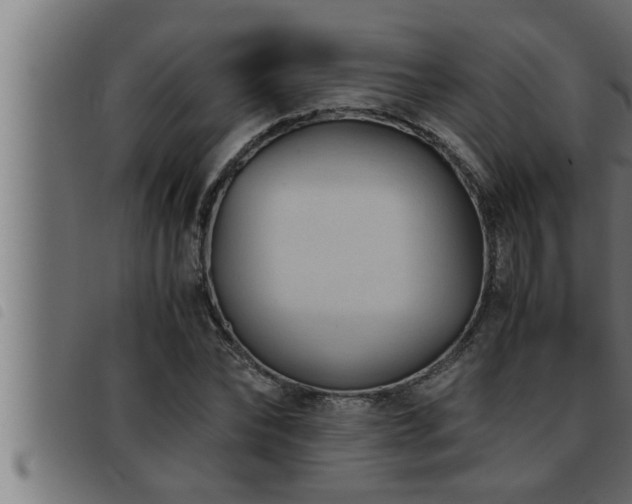 X0000093490878200710121504
