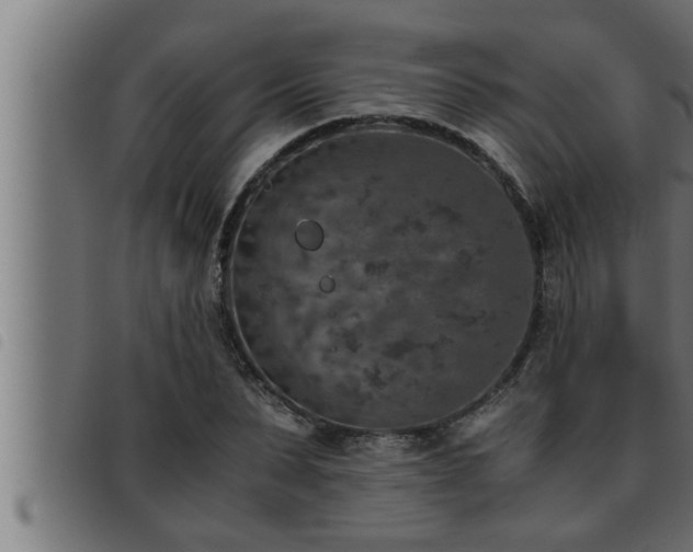 X0000093490879200710121504