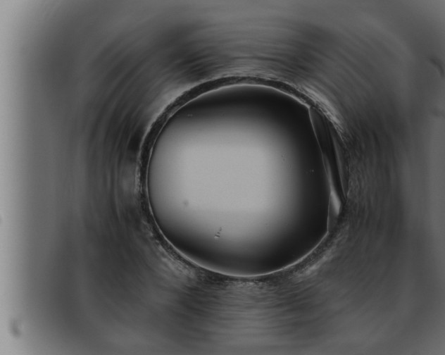 X0000093490880200710121504