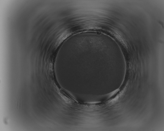 X0000093490881200710121504
