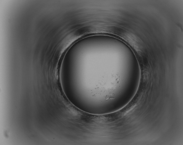 X0000093490885200710121504