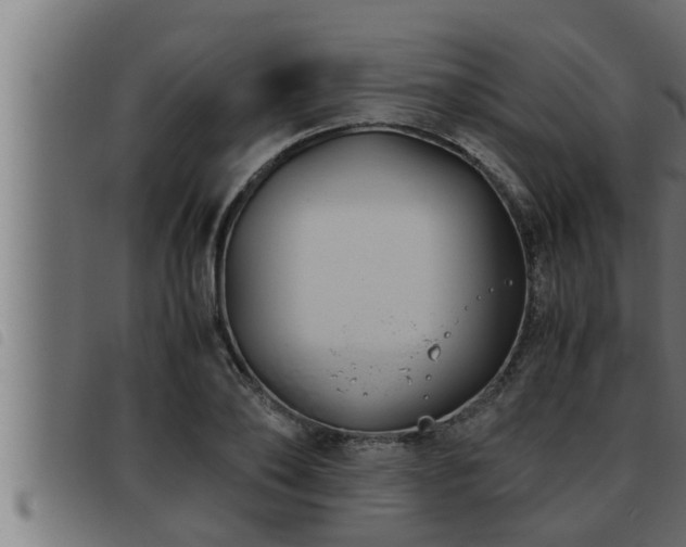 X0000093490886200710121504