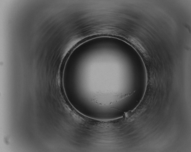 X0000093490888200710121504