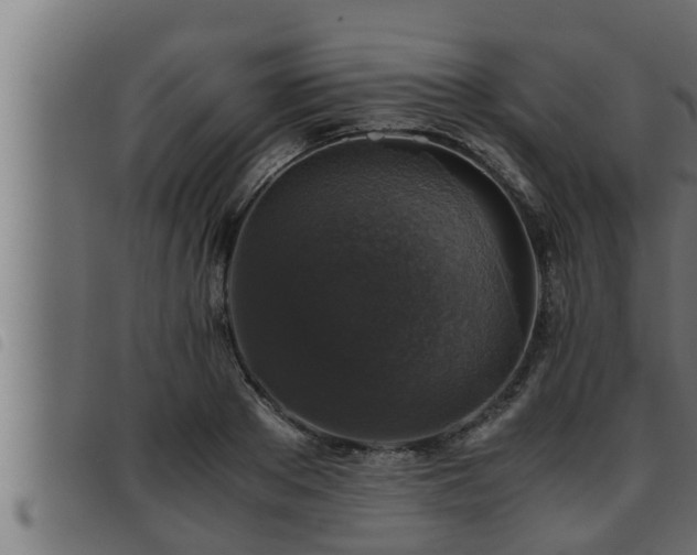 X0000093490889200710121504