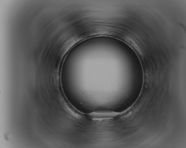 X0000093490890200710121504