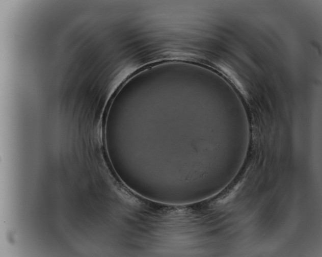 X0000093490891200710121504