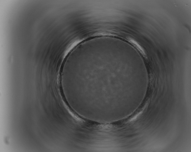 X0000093490893200710121504