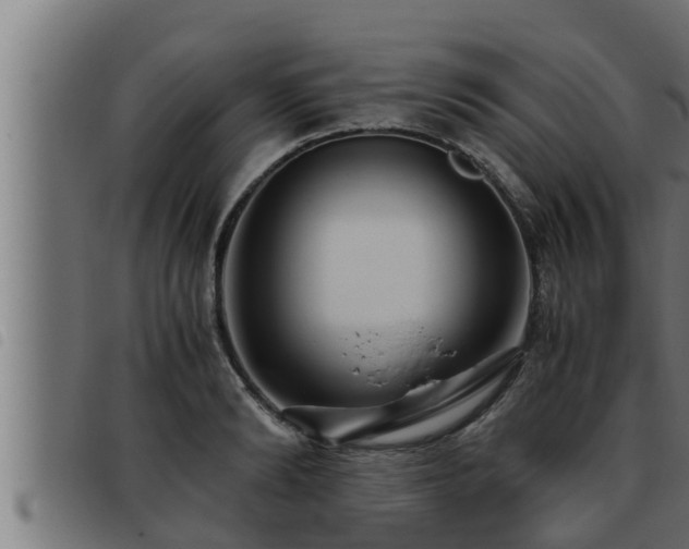 X0000093490894200710121504
