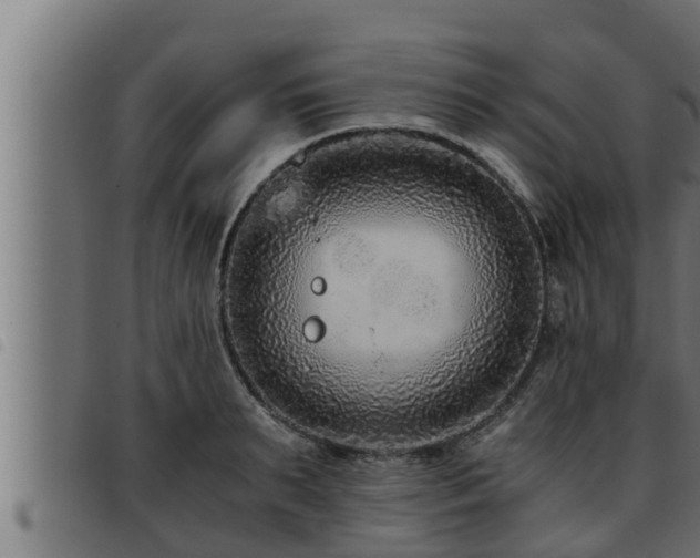 X0000093490895200710121504