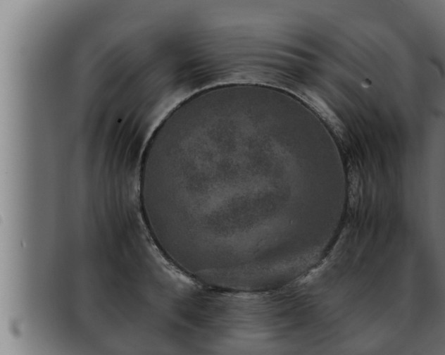 X0000093490896200710121504