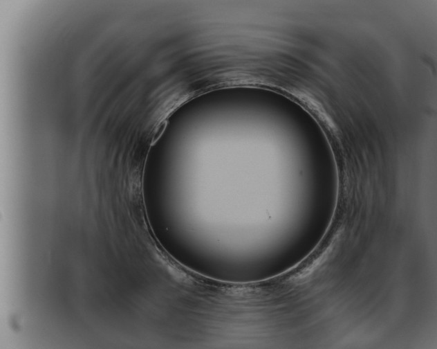 X0000093490897200710121504