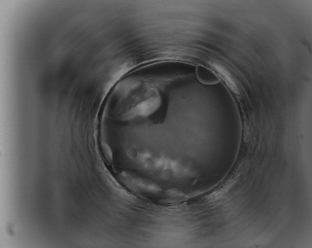 X0000093490899200710121504