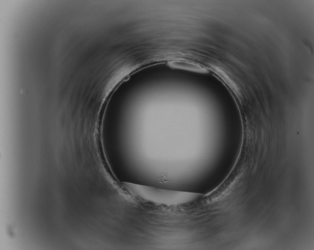 X0000093490901200710121504