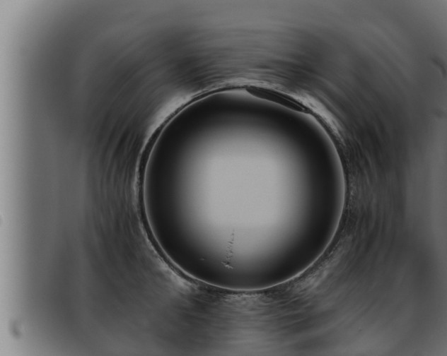 X0000093490902200710121504