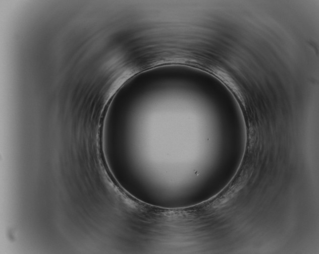 X0000093490906200710121504