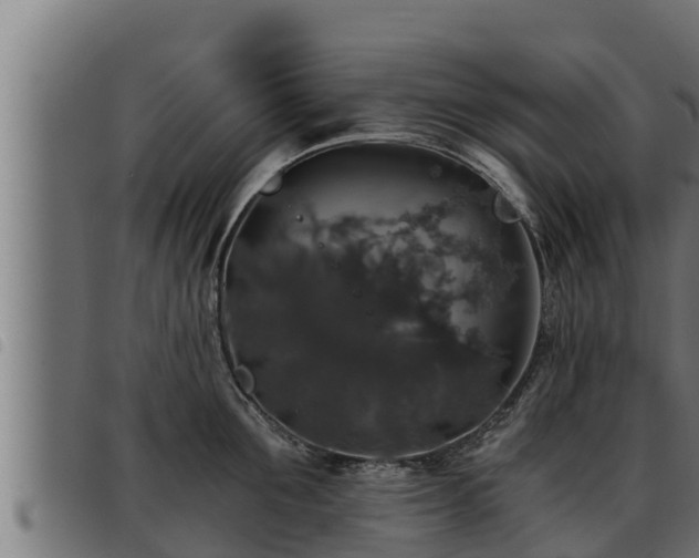 X0000093490907200710121504