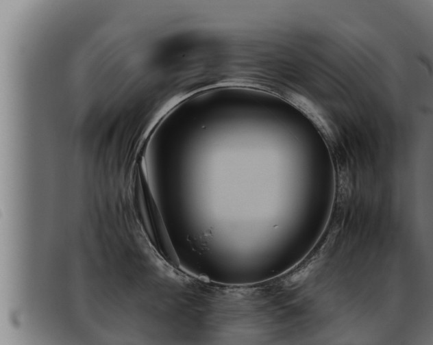 X0000093490908200710121504