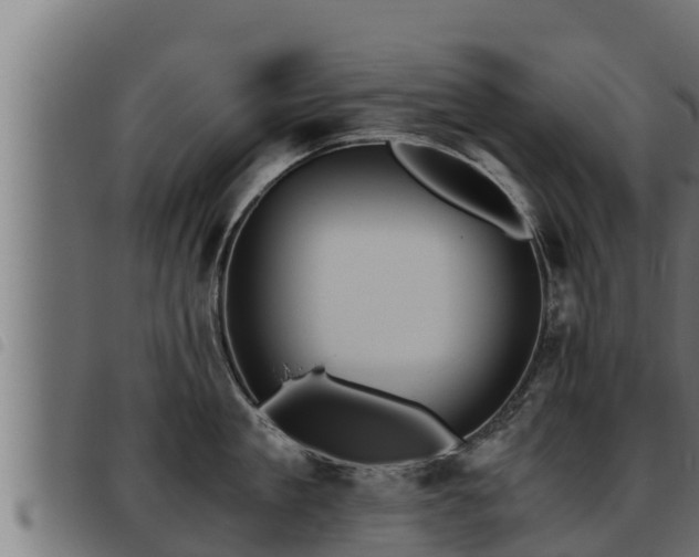 X0000093490909200710121504