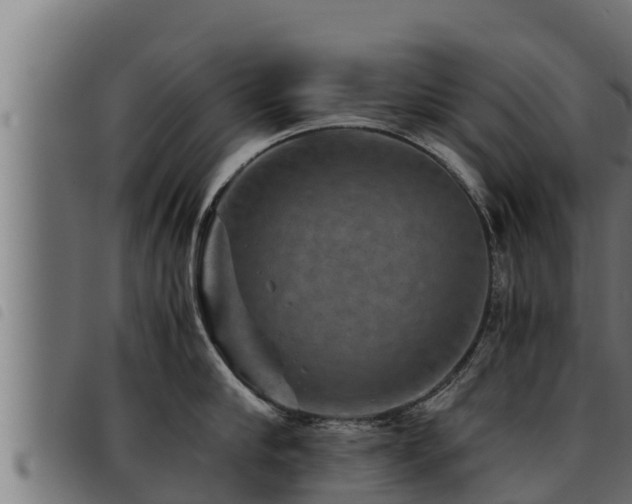 X0000093490910200710121504