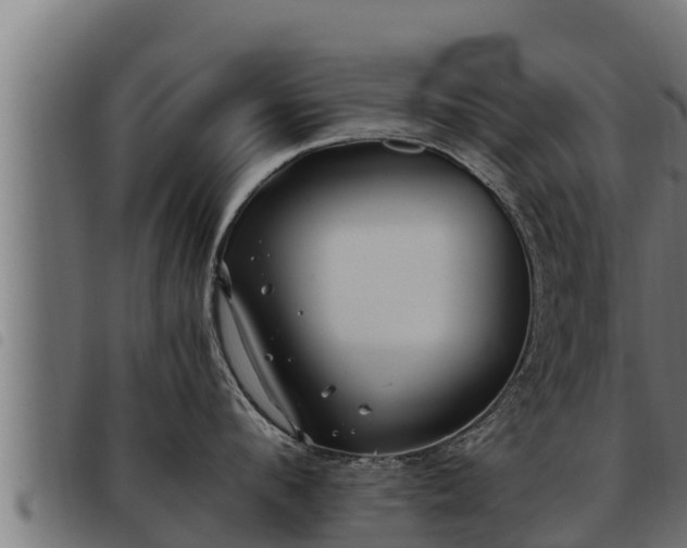 X0000093490912200710121504