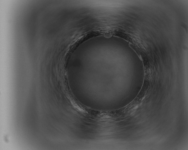 X0000093490913200710121503