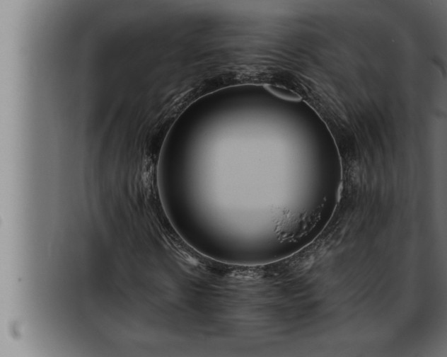 X0000093490914200710121503