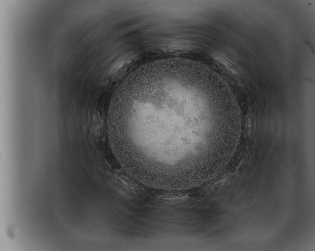 X0000093490917200710121503