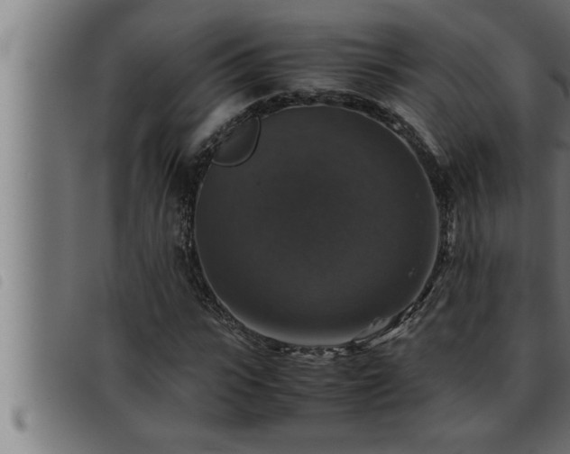 X0000093490919200710121503