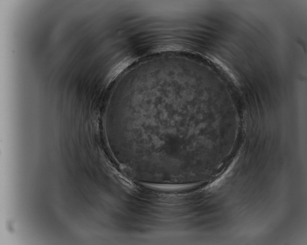 X0000093490921200710121503