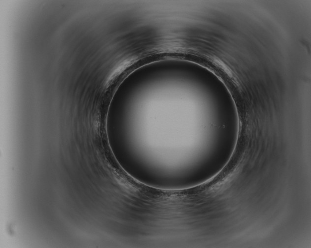 X0000093490922200710121503