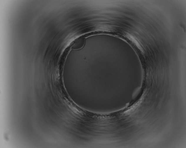 X0000093490923200710121503