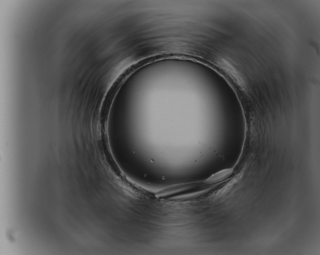 X0000093490924200710121503