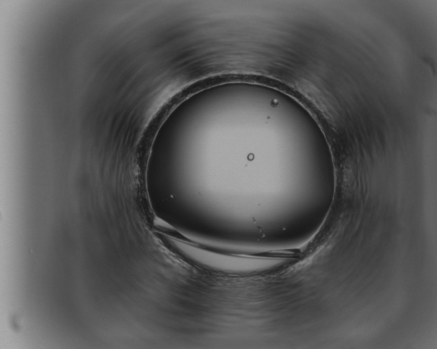 X0000093490926200710121503