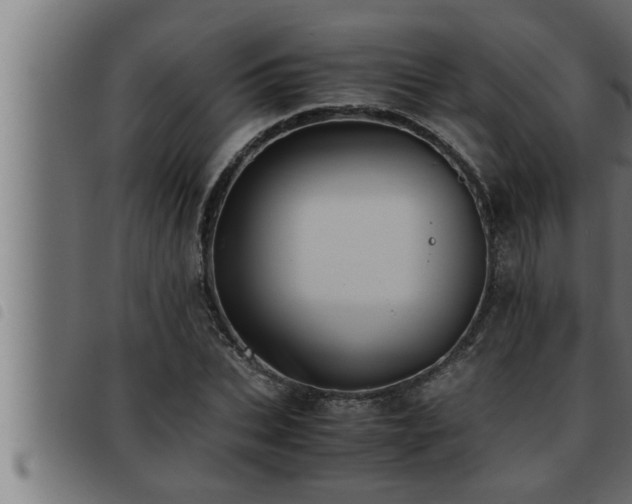 X0000093490927200710121503