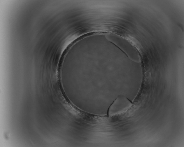 X0000093490928200710121503
