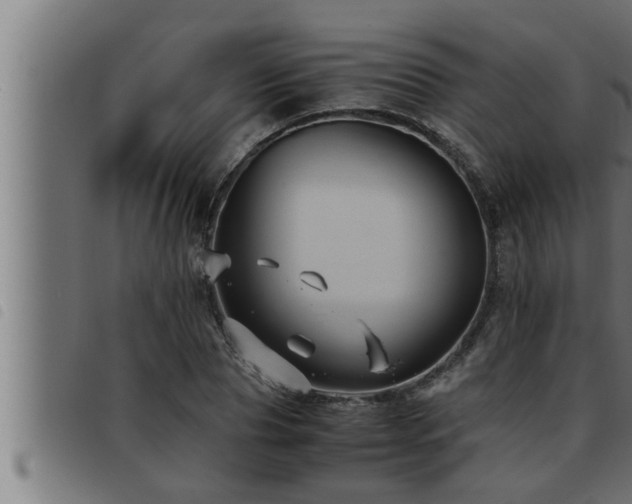 X0000093490929200710121503